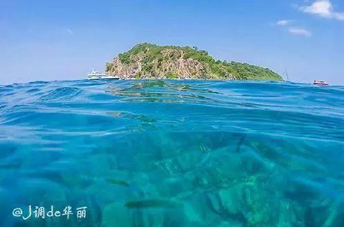 新黄金矿工