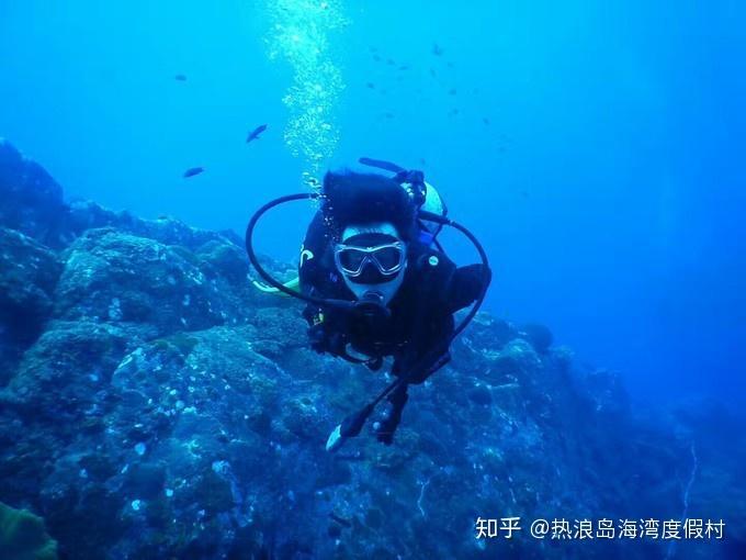 脑洞小老弟无实名认证