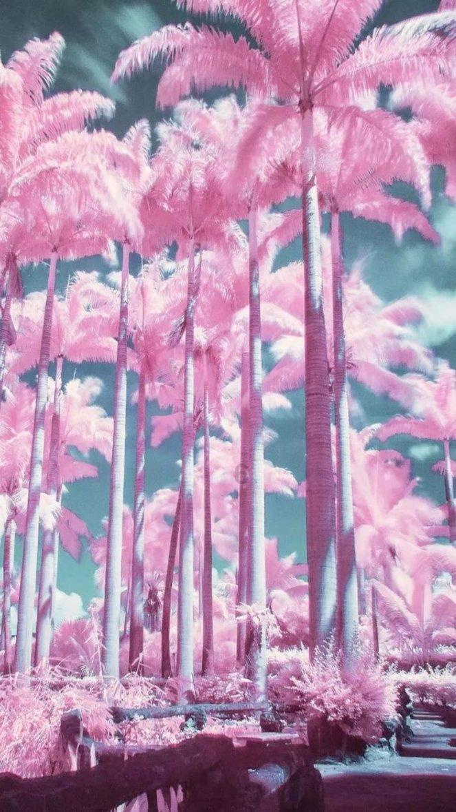 月光影视